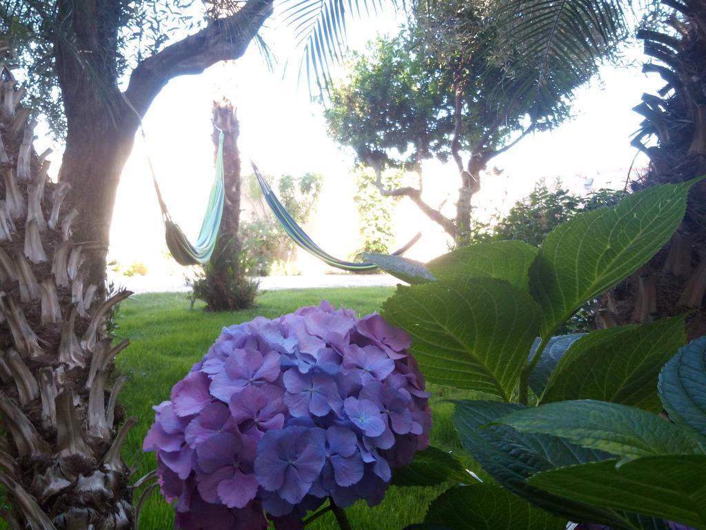 Nora Guesthouse Rooms And Villas Pula Dış mekan fotoğraf